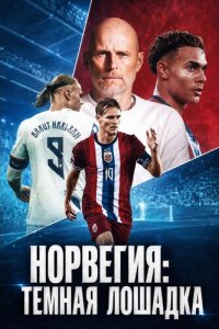 Норвегия: Темная лошадка