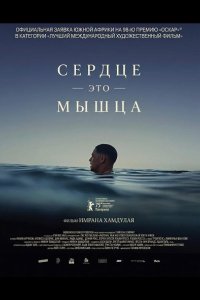 Сердце — это мышца
